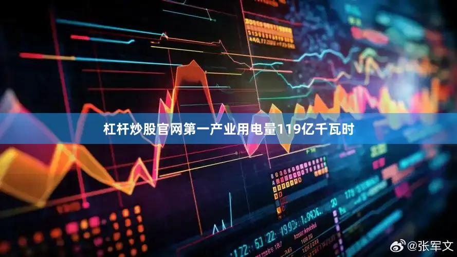 杠杆炒股官网第一产业用电量119亿千瓦时