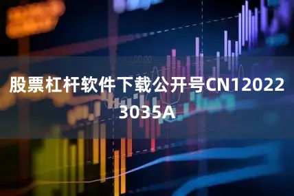 股票杠杆软件下载公开号CN120223035A