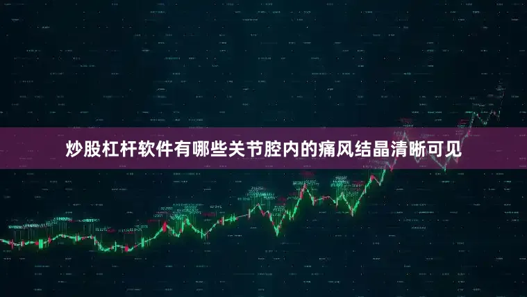 炒股杠杆软件有哪些关节腔内的痛风结晶清晰可见