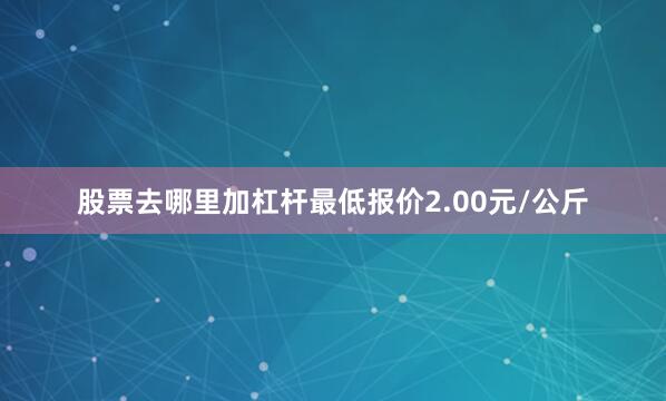 股票去哪里加杠杆最低报价2.00元/公斤